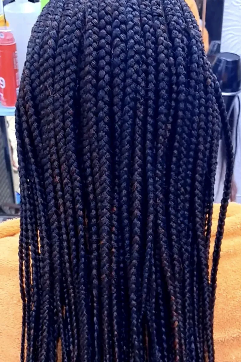 Long, small box braids in black with auburn tones, seen from behind